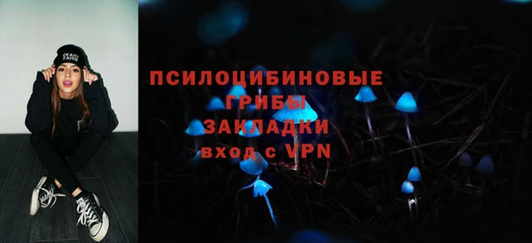 амф Кукмор