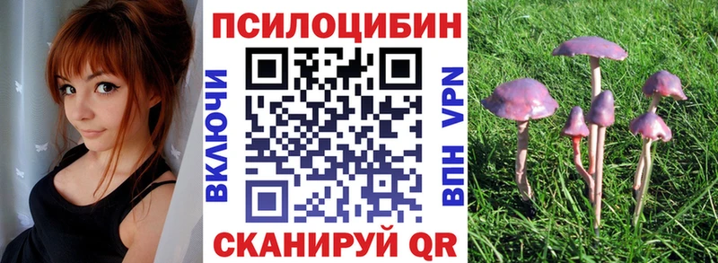 Купить  Отрадное  Галлюциногенные грибы Cubensis 