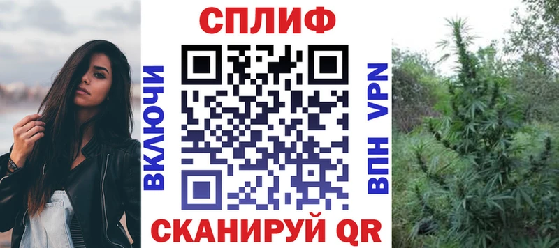 Купить закладки  Отрадное  Каннабис SATIVA & INDICA 